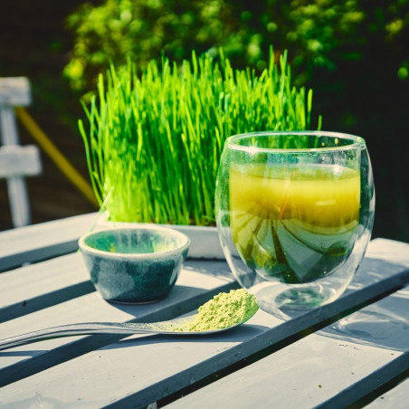 Organic Barley Grass Powder Organic Barley Grass Powder