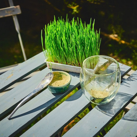 jus d'herbe d'orge déshydraté bio et herbe d'orge jus d'herbe d'orge déshydraté bio et herbe d'orge