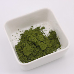 chlorelle bio qualité crue poudre chlorelle bio qualité crue poudre