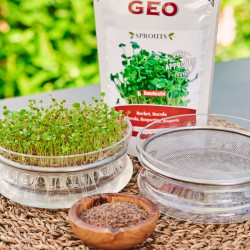 glass germinated seed mucilage glass germinated seed mucilage