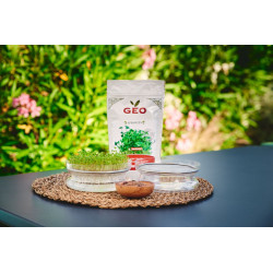 glass germinated seed mucilage glass germinated seed mucilage