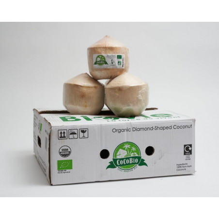 fresh coconuts cocoboys young water biovie fresh coconuts cocoboys young water biovie