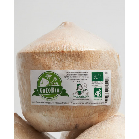 fresh coconuts cocoboys young water