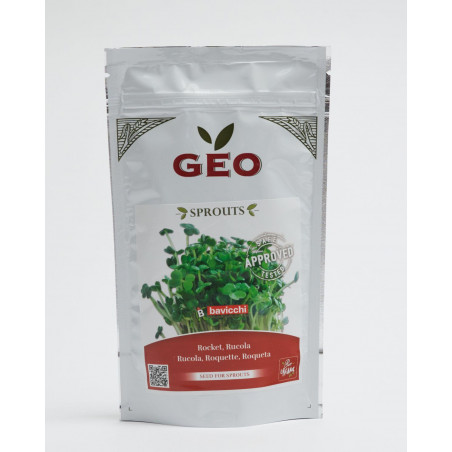 organic arugula seed geo sprouted