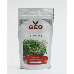 Organic leek seeds to germinate | Bavicchi