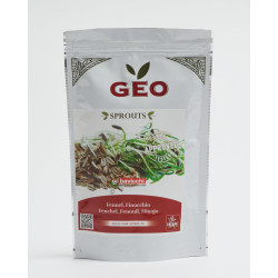organic fennel seed geo germinated