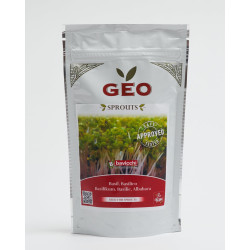 graine basilic bio geo germé graine basilic bio geo germé