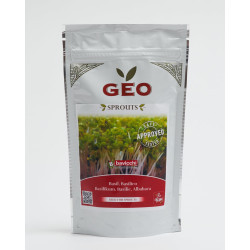 organic basil seed geo sprouted
