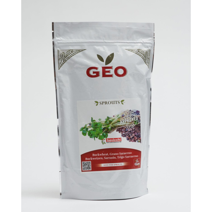 Semi di grano saraceno biologico (da germogliare)