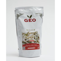 organic mung bean seed geo sprouted