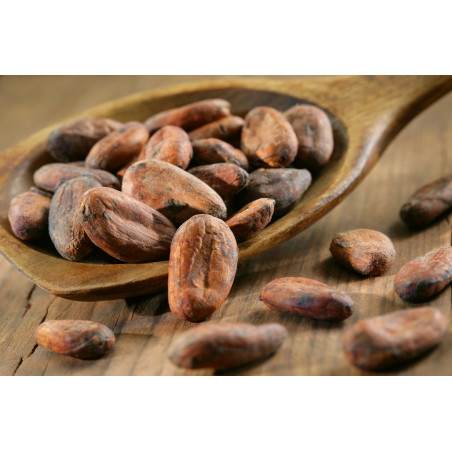 fève cacao cru chocolat éthique bio fève cacao cru chocolat éthique bio