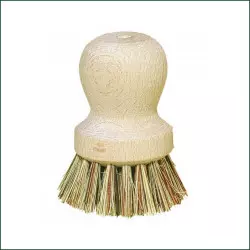Brosse A Plateaux Entretien Germoir