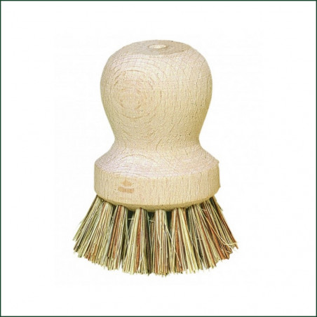 Brosse A Plateaux Entretien Germoir Brosse A Plateaux Entretien Germoir