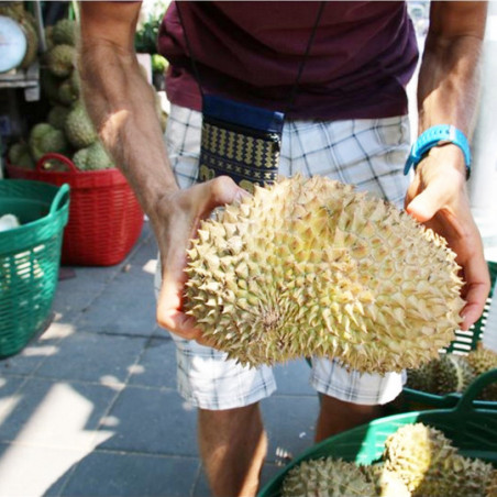 durian fruit recipes