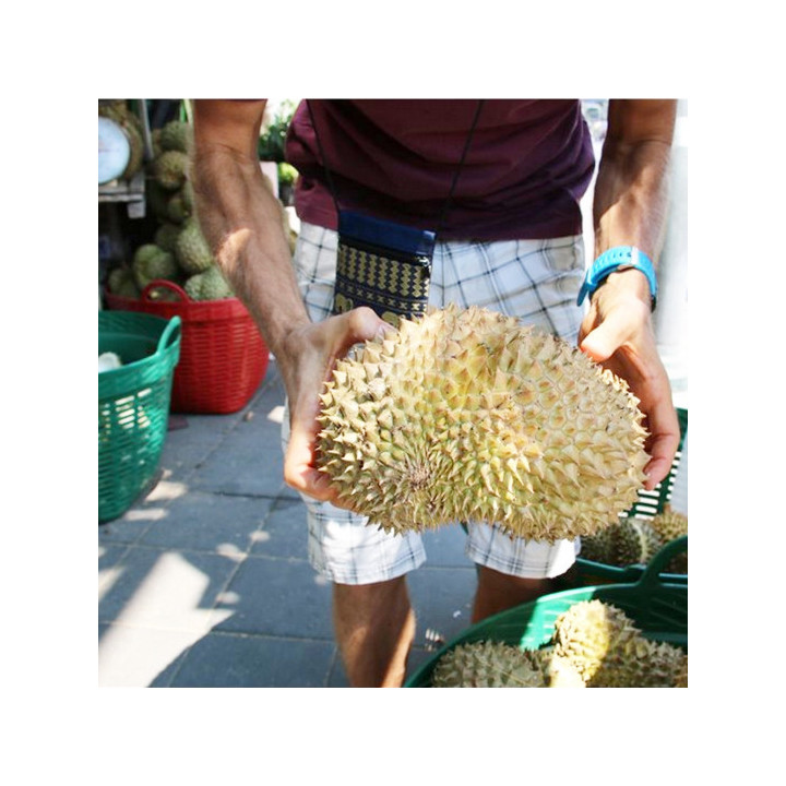 Durian Bio Monthong