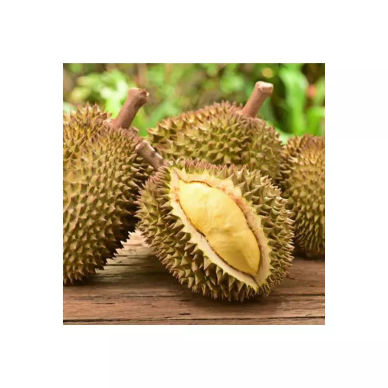 gevriesdroogde Durian fruit 200 gram