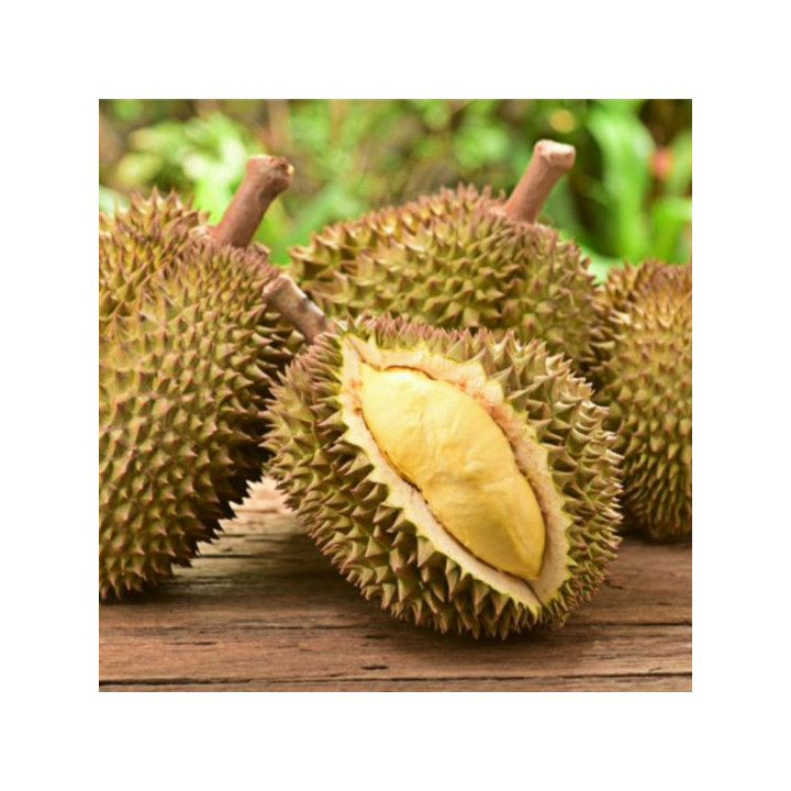 Durian Liofilizado 200 gramas