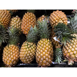 ananas queen frais pineapple ananas queen frais pineapple