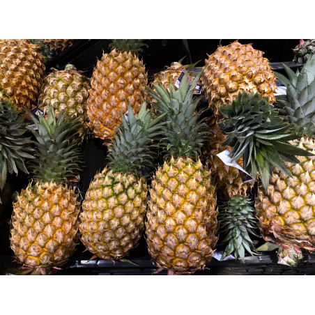 ananas queen frais pineapple