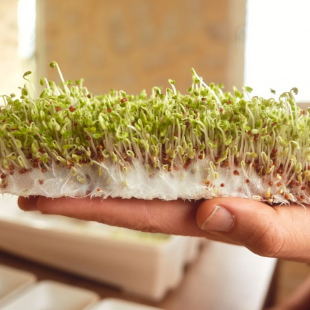 Easygreen Light Sprouter| Mucilage germination mat Easygreen Light Sprouter| Mucilage germination mat