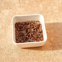 fenouil bienfaits graines germées fenouil bienfaits graines germées