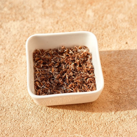 fenouil bienfaits graines germées fenouil bienfaits graines germées