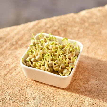 graines germées pois vert GEO bio graines germées pois vert GEO bio