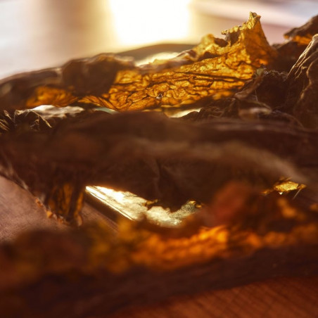 Organic dehydrated kombu seaweed | BRETALG Organic dehydrated kombu seaweed | BRETALG