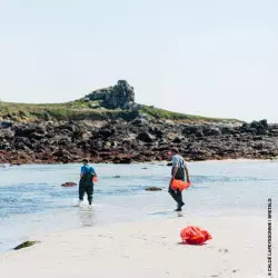 Fresh organic sea lettuce seaweed | BRETALG Fresh organic sea lettuce seaweed | BRETALG