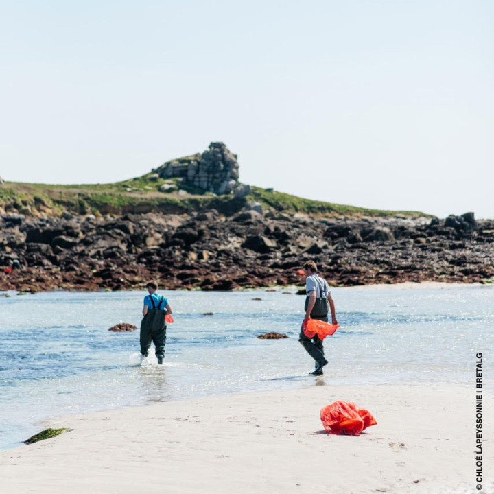 Seaweed harvesting on the foreshore