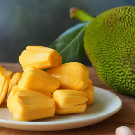 fruit du jaquier lyophilisé jackfruit thailande