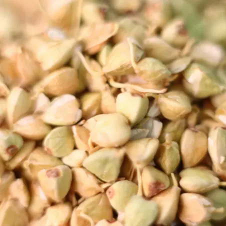 Biologisch geactiveerde boekweitzaadjes