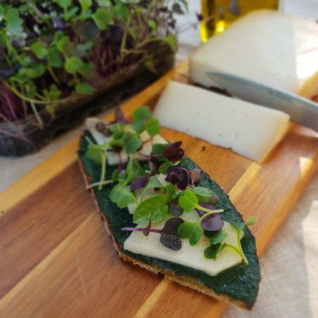 Spiruline umamiz ultra fraiche française pressée en tartine Spiruline umamiz ultra fraiche française pressée en tartine