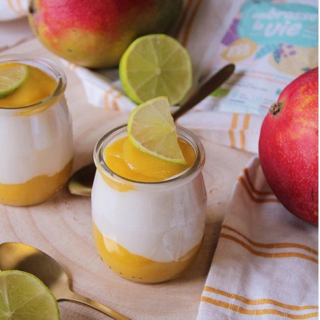 yaourt maison vegan citron mangue ferments embrasse la vie