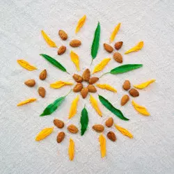 mandala amandes activées et fleurs, sans acide phytique mandala amandes activées et fleurs, sans acide phytique