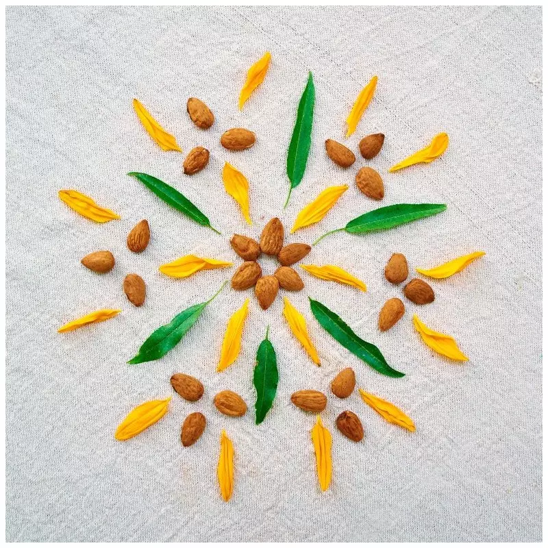 mandala amandes activées et fleurs, sans acide phytique