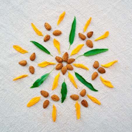 mandala amandes activées et fleurs, sans acide phytique mandala amandes activées et fleurs, sans acide phytique