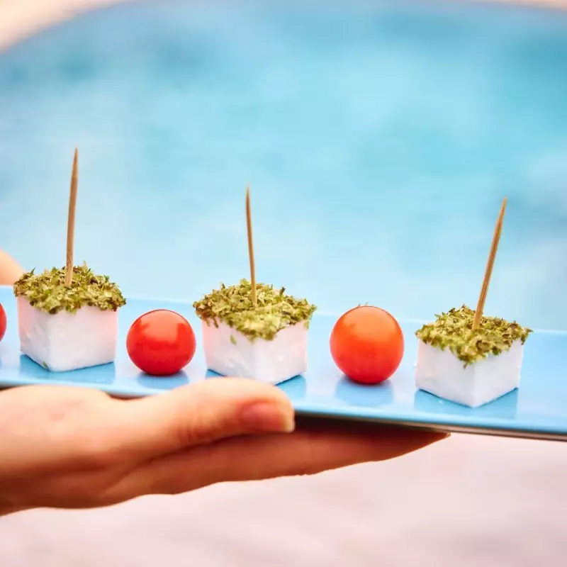 Zeewiersla topping kaas met algen voor aperitief