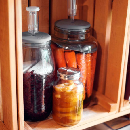 jarres de lactofermentation biovie 1L 3L 5L jarres de lactofermentation biovie 1L 3L 5L