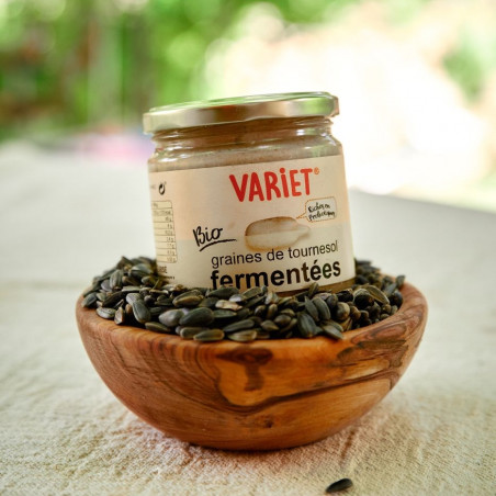 pate à tartiner aux graines de tournesol fermentée probiotiques pate à tartiner aux graines de tournesol fermentée probiotiques