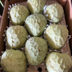 chirimoya cherimoya espagne bio chirimoya cherimoya espagne bio