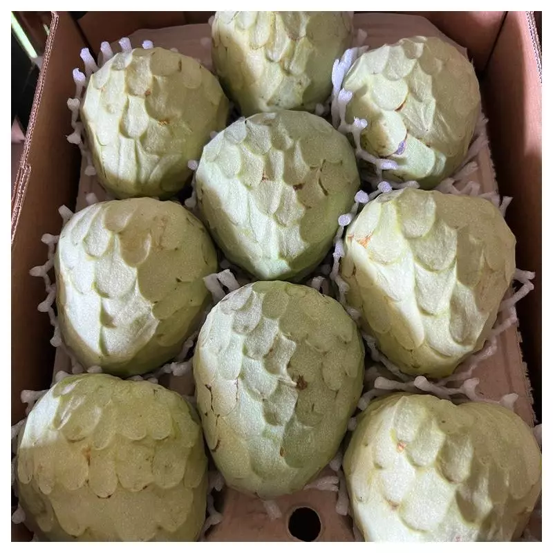 chirimoya cherimoya espagne bio