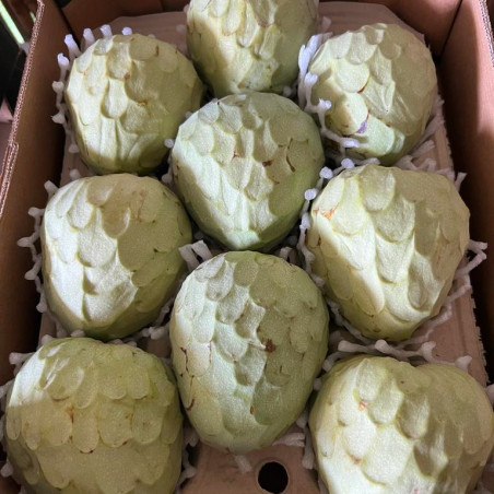 chirimoya cherimoya espagne bio chirimoya cherimoya espagne bio