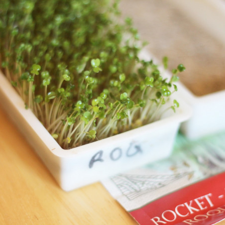 Fast Easy Growth Mat Rocket Flax Sunflower Fast Easy Growth Mat Rocket Flax Sunflower
