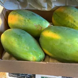 papayes biologiques caisse de 5 kg papayes biologiques caisse de 5 kg