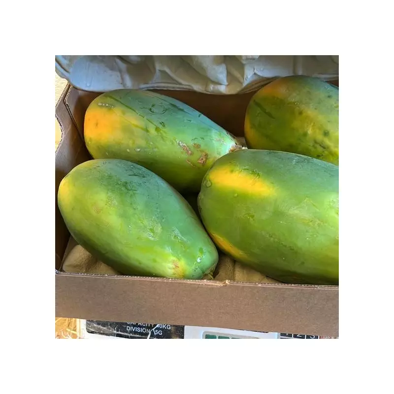 papayes biologiques caisse de 5 kg