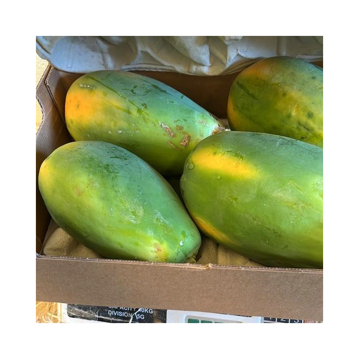mamões orgânicos caixa de 5 kg