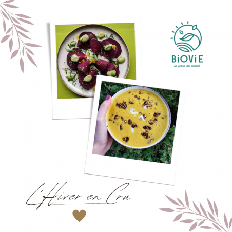 couverture ebook l'hiver en cru par Aurélie Scarabin et Biovie couverture ebook l'hiver en cru par Aurélie Scarabin et Biovie