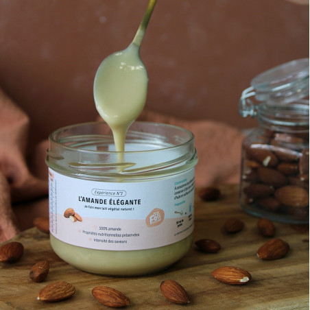 Purée d'amande pour lait végétal maison, riche en vitamine E Purée d'amande pour lait végétal maison, riche en vitamine E