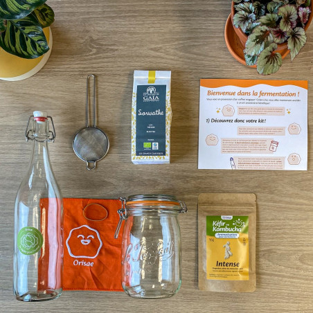kit kombucha maison orisae kit kombucha maison orisae